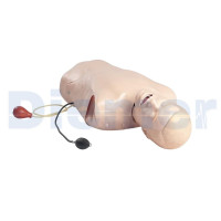 Cabeza Intubacion Dificil Adulto 